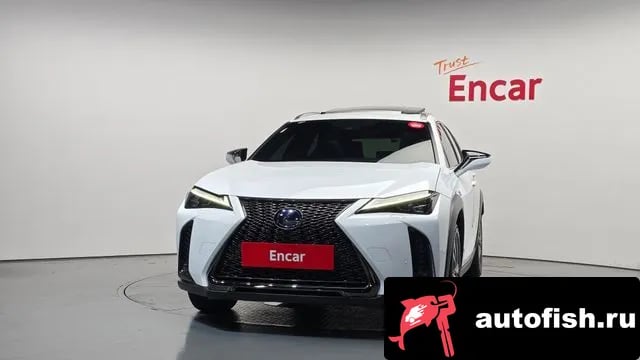 Lexus UX UX250h 2020 года - вид 3