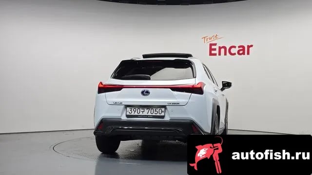 Lexus UX UX250h 2020 года - вид 4