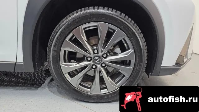 Lexus UX UX250h 2020 года - вид 5