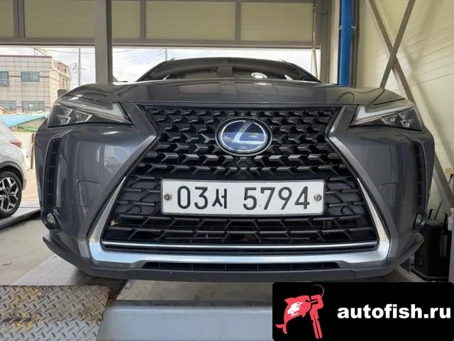 Lexus UX UX250h 2019 года - автомобиль из Южной Кореи