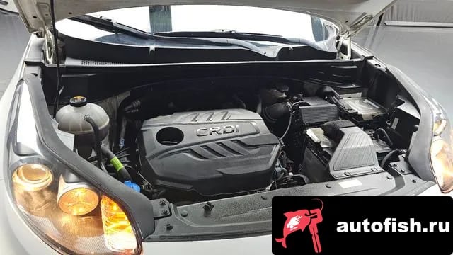 Kia Sportage Sportage The Bold 2019 года - похожие автомобили