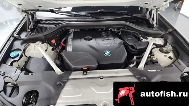 BMW X4 X4 (G02) 2020 года - вид 6