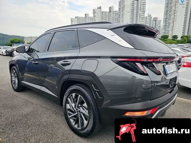 Hyundai Tucson The New Tucson Hybrid (NX4) 2023 года - вид 6