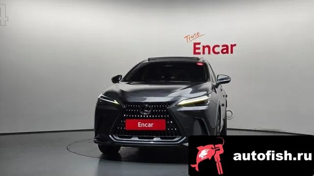 Lexus NX NX350h Second generation 2023 года - вид 3
