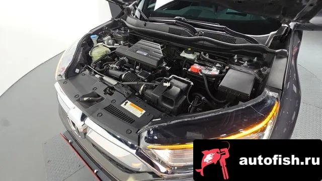 Honda CR-V CR-V 5th generation 2019 года - вид 6