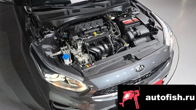 Kia K3 Come New K3 2019 года - вид 6