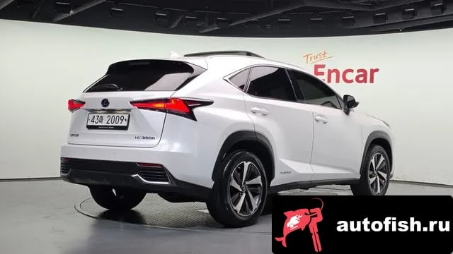 Lexus NX NX300h 2019 года - вид 2