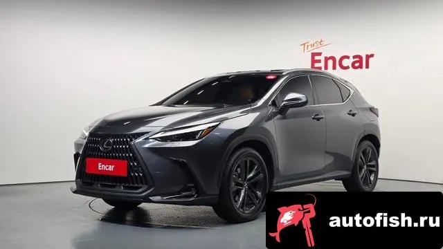 Lexus NX NX350h Second generation 2025 года - автомобиль из Южной Кореи