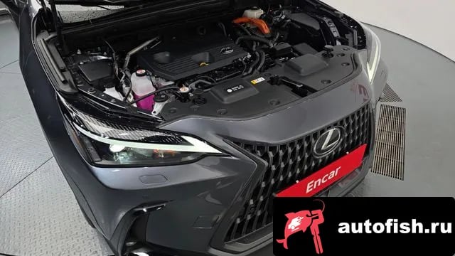 Lexus NX NX350h Second generation 2025 года - вид 6
