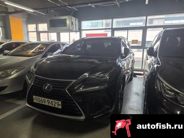 Lexus NX NX300h 2021 года - автомобиль из Южной Кореи