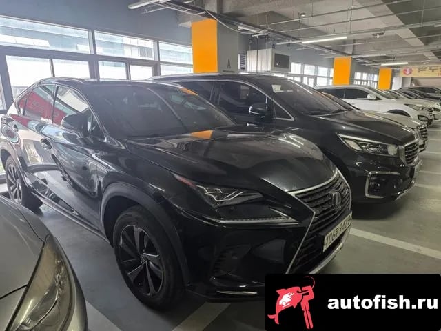 Lexus NX NX300h 2021 года - вид 2