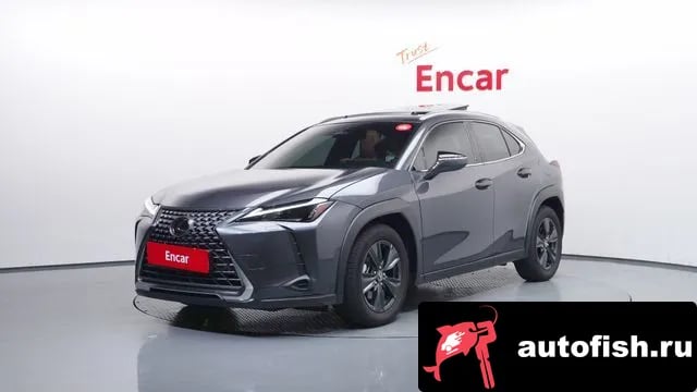 Lexus UX UX300h 2025 года - вид 1
