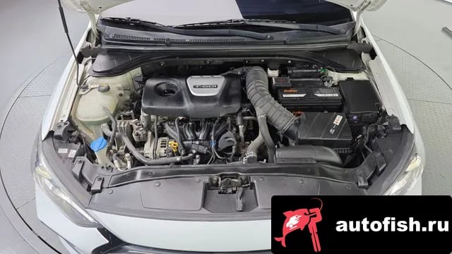 Hyundai AVANTE Avante AD 2018 года - вид 6