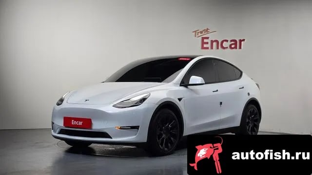 Tesla Model Y Model Y 2022 года - автомобиль из Южной Кореи