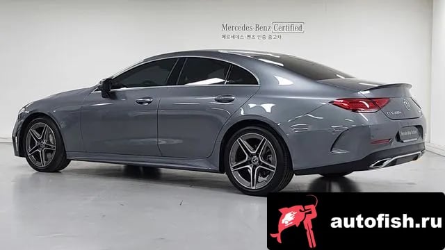 Mercedes-Benz CLS-Class CLS-Class C257 2023 года - вид 2