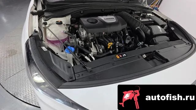 Hyundai i30 i30 (PD) 2019 года - вид 6
