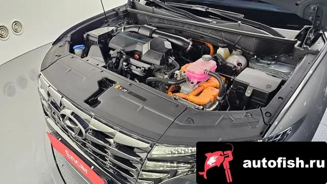 Hyundai Tucson Tucson Hybrid (NX4) 2023 года - вид 6