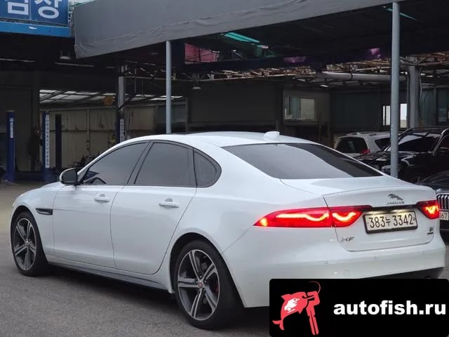 Jaguar XF XF (X260) 2019 года - вид 6