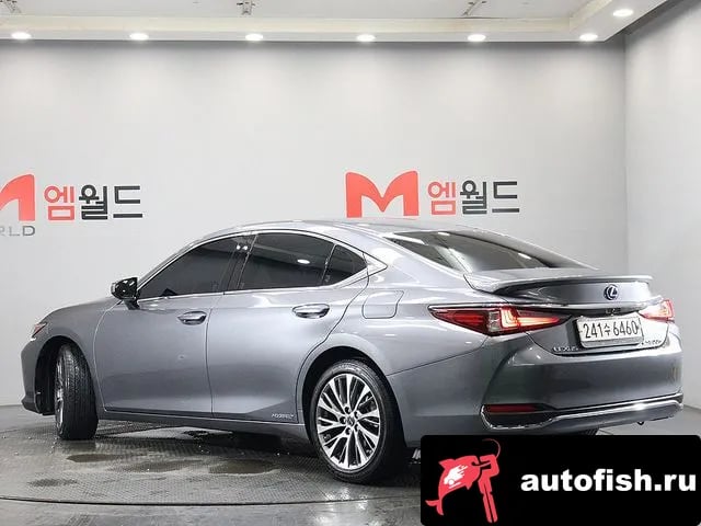 Lexus ES ES300h 7th generation 2021 года - вид 4