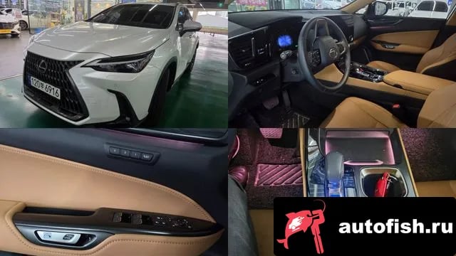 Lexus NX NX350h Second generation 2023 года - автомобиль из Южной Кореи