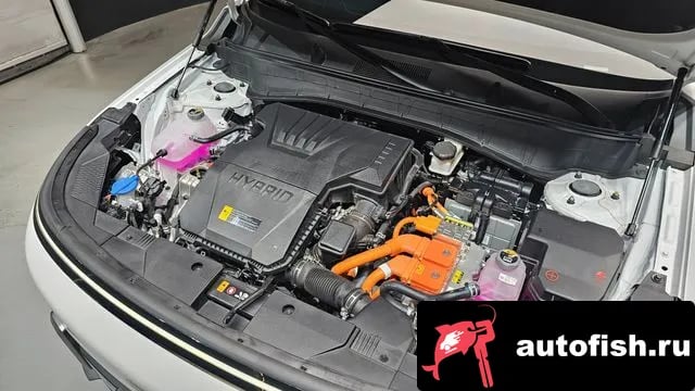 Hyundai Kona Kona Hybrid (SX2) 2025 года - вид 6