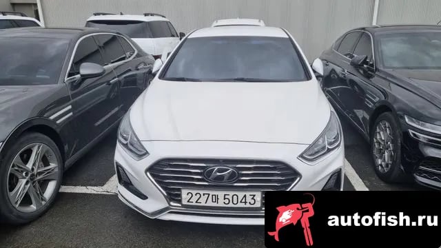 Hyundai Sonata Sonata New Rise 2019 года - автомобиль из Южной Кореи