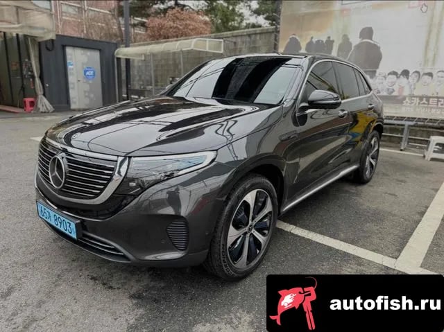 Mercedes-Benz EQC EQC N293 2020 года - вид 1