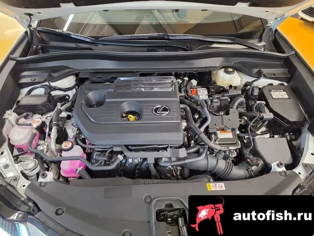 Lexus UX UX300h 2025 года - вид 6