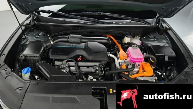 Hyundai Tucson Tucson Hybrid (NX4) 2023 года - вид 6