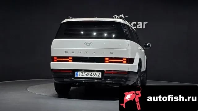 Hyundai Santafe San Tafe (MX5) 2024 года - вид 4
