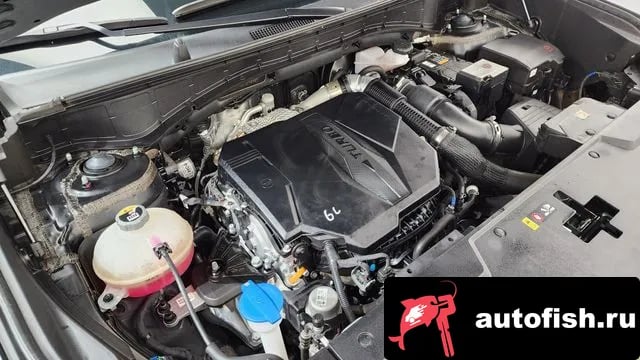 Hyundai Santafe San Tafe (MX5) 2024 года - вид 6