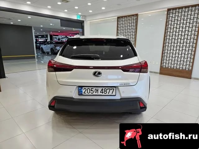 Lexus UX UX300h 2025 года - вид 4