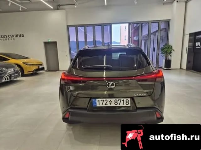 Lexus UX UX300h 2025 года - вид 4