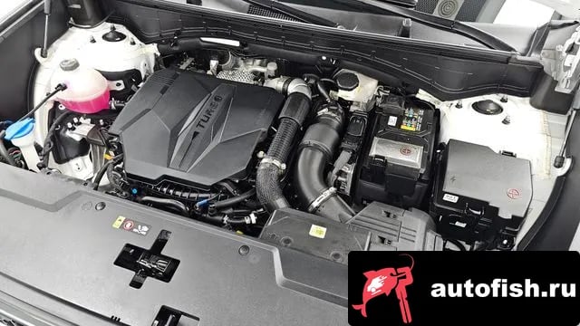 Hyundai Santafe San Tafe (MX5) 2024 года - вид 6