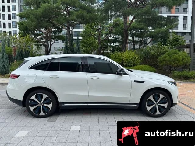 Mercedes-Benz EQC EQC N293 2020 года - вид 1