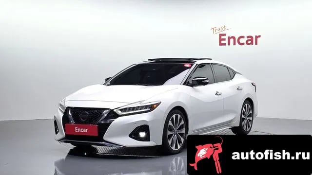Nissan Maxima Maxima (A36) 2019 года - автомобиль из Южной Кореи