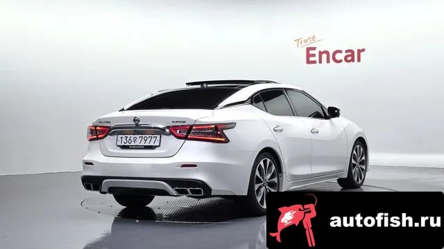 Nissan Maxima Maxima (A36) 2019 года - вид 2