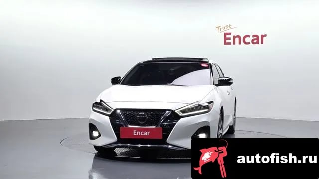 Nissan Maxima Maxima (A36) 2019 года - вид 3