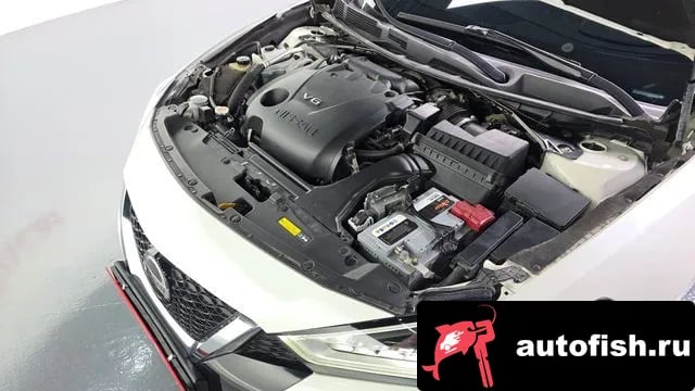 Nissan Maxima Maxima (A36) 2019 года - вид 6