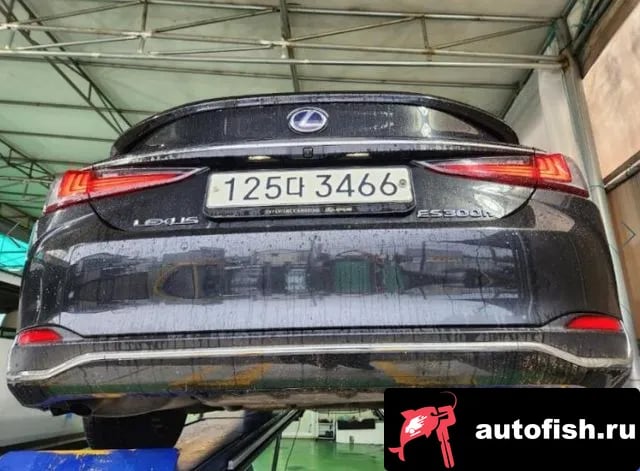 Lexus ES ES300h 7th generation 2021 года - вид 2