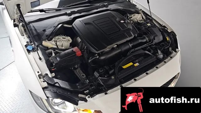 Jaguar XF XF (X260) 2018 года - вид 5