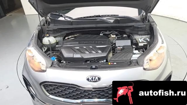 Kia Sportage Sportage The Bold 2019 года - вид 6