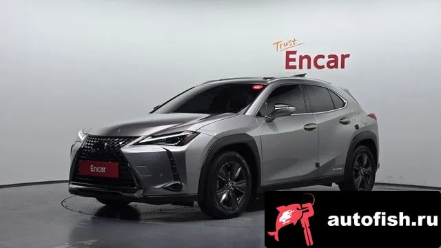Lexus UX UX250h 2019 года - вид 1
