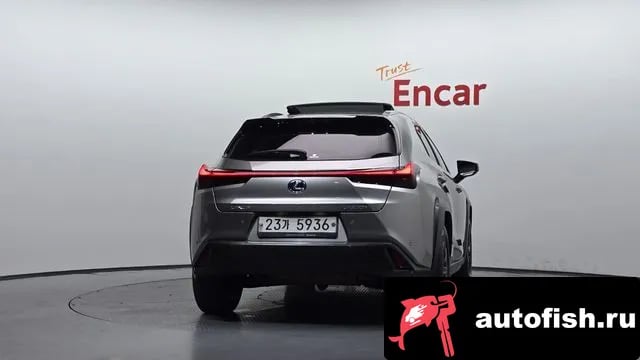 Lexus UX UX250h 2019 года - вид 4