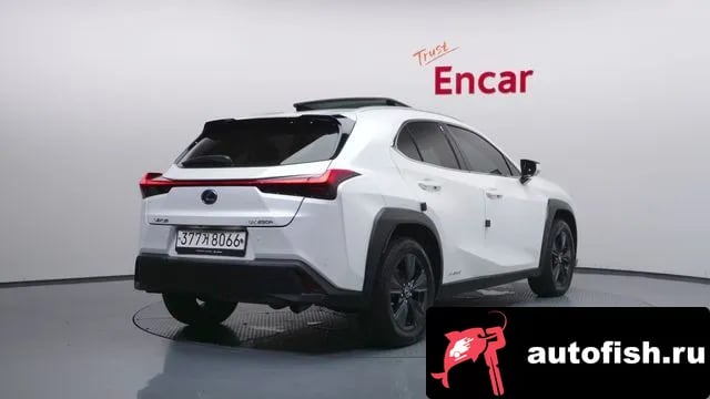 Lexus UX UX250h 2021 года - вид 2