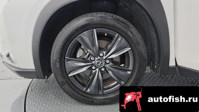Lexus UX UX250h 2021 года - вид 5