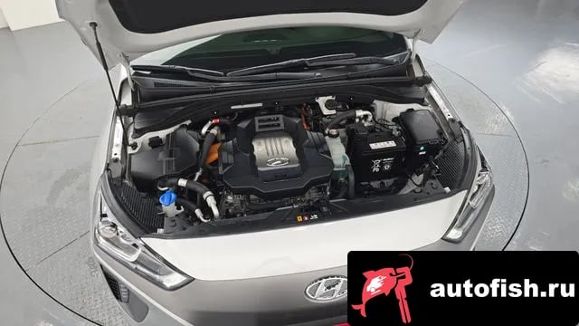 Hyundai Ioniq Ionic Electric 2018 года - похожие автомобили