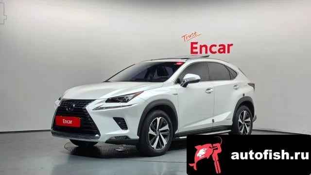 Lexus NX NX300h 2018 года - автомобиль из Южной Кореи