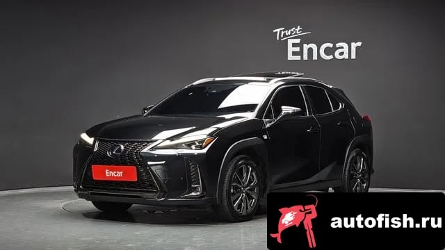 Lexus UX UX250h 2020 года - вид 1