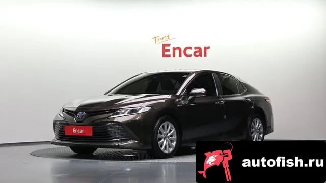 Toyota Camry Camry (XV70) 2019 года - похожие автомобили
